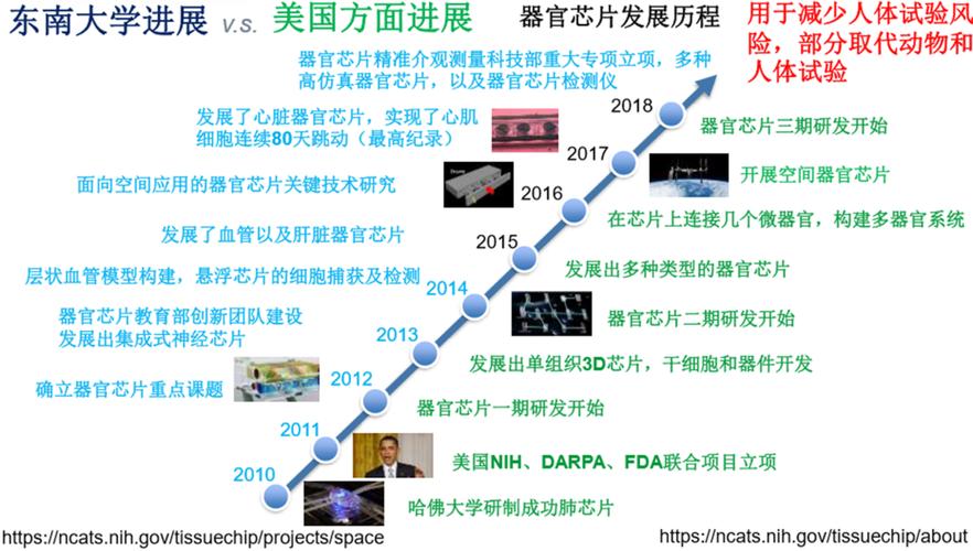 从芯片里“长”出器官你敢信赖吗？_芯片_器官 从芯片里“长”出器官你敢信赖吗？_芯片_器官 科学
