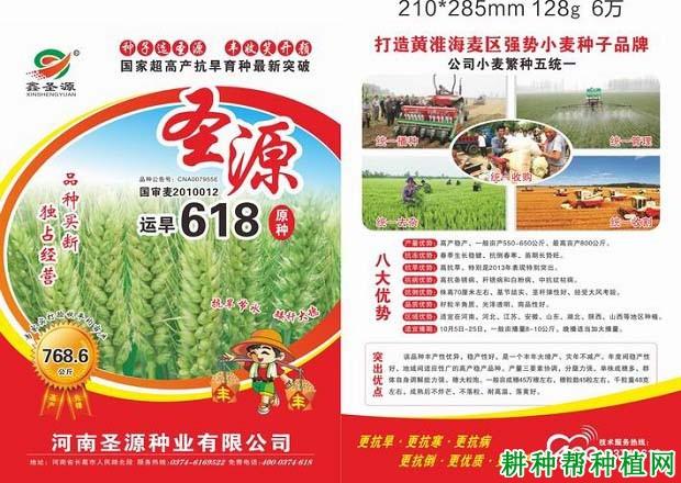 从“运旱1818”看“农业芯片”密码_小麦_农业年夜学 科学 从“运旱1818”看“农业芯片”密码_小麦_农业年夜学 从“运旱1818”看“农业芯片”密码_小麦_农业年夜学 科学