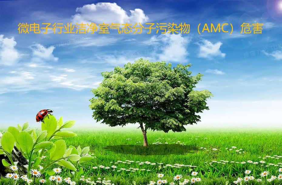 气态分子污染物(AMC)对电子半导系统编制程的影响及解决筹划_污染物_气态 科学 气态分子污染物(AMC)对电子半导系统编制程的影响及解决筹划_污染物_气态 气态分子污染物(AMC)对电子半导系统编制程的影响及解决筹划_污染物_气态 科学