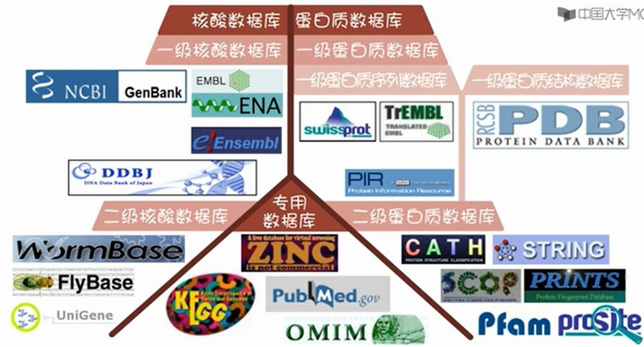 生物信息学第一步——GEO数据库的介绍以及数据下载_数据_文件 生物信息学第一步——GEO数据库的介绍以及数据下载_数据_文件 智能