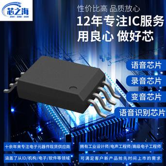 OTP语音芯片内置SPI Flash的浸染_语音_芯片 OTP语音芯片内置SPI Flash的浸染_语音_芯片 科学