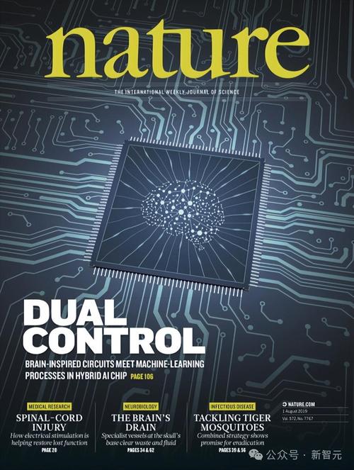 清华类脑视觉芯片取得重大年夜打破“天眸芯”登上Nature封面_视觉_芯片 清华类脑视觉芯片取得重大年夜打破“天眸芯”登上Nature封面_视觉_芯片 通讯