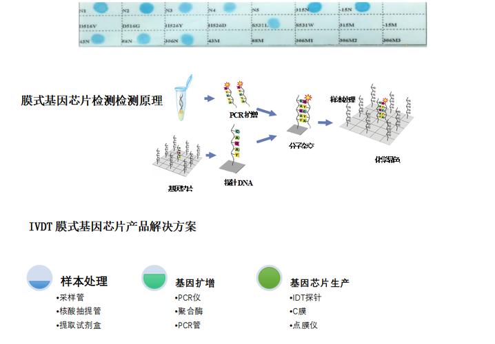 芯片功能检测的方法_芯片_功效 互联网 芯片功能检测的方法_芯片_功效 芯片功能检测的方法_芯片_功效 互联网