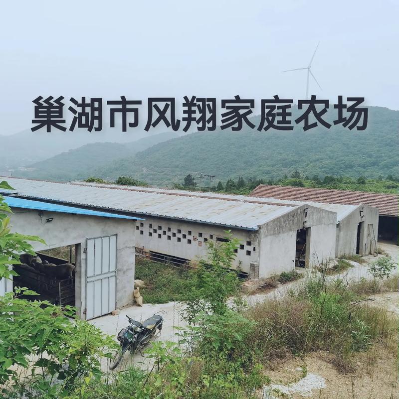 开一个家庭农场该若何融资找钱？_农场_家庭 开一个家庭农场该若何融资找钱？_农场_家庭 通讯