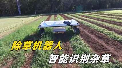 打破价格局限未岚大年夜陆在欧洲宣告Segway Navimow割草机械人i系列_割草_割草机 打破价格局限未岚大年夜陆在欧洲宣告Segway Navimow割草机械人i系列_割草_割草机 科学