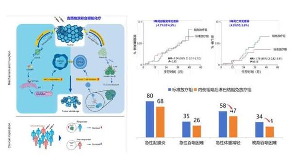 衰老机制、人体器官芯片等入选2023年度中国生命科学十大年夜进展_中国科协_性命科学 衰老机制、人体器官芯片等入选2023年度中国生命科学十大年夜进展_中国科协_性命科学 智能