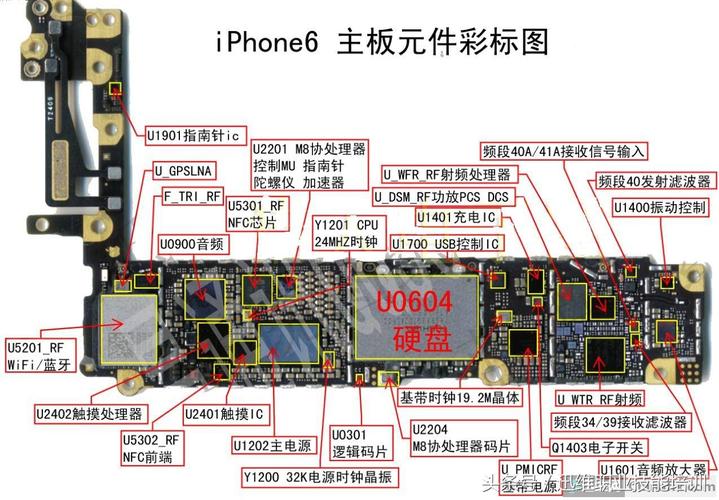 挖挖里面细节 iPhone6/Plus主板剖析图_芯片_苹果 挖挖里面细节 iPhone6/Plus主板剖析图_芯片_苹果 科学