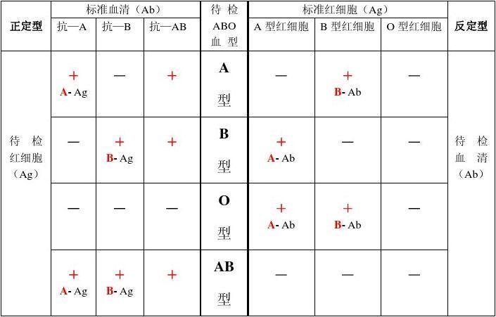 A型orAB型？到底什么型？——真假血型之谜_血型_判定 A型orAB型？到底什么型？——真假血型之谜_血型_判定 互联网