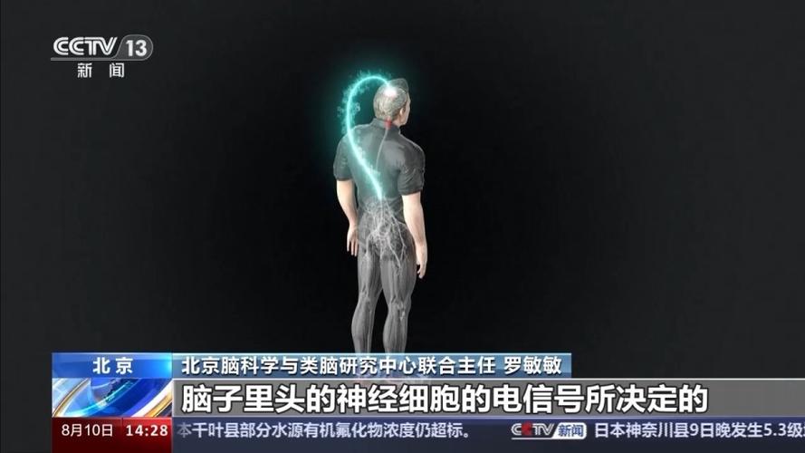 人类首次植入脑机接口芯片！黑客能经由进程它入侵我们的大年夜脑？_接口_暗记 人类首次植入脑机接口芯片！黑客能经由进程它入侵我们的大年夜脑？_接口_暗记 互联网
