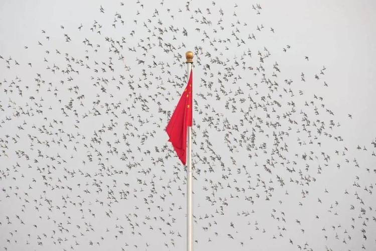 龙岩智造天安门广场世界第一旗与国歌升降播放的控制“芯片”故事_国旗_天安门 龙岩智造天安门广场世界第一旗与国歌升降播放的控制“芯片”故事_国旗_天安门 通讯