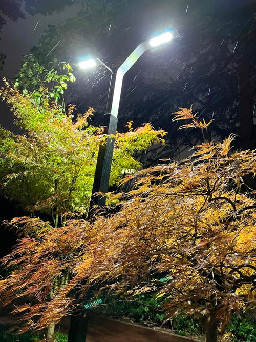 大年夜明节能取得量子安然路灯专利实现了加密密钥的分发_路灯_密钥 大年夜明节能取得量子安然路灯专利实现了加密密钥的分发_路灯_密钥 互联网