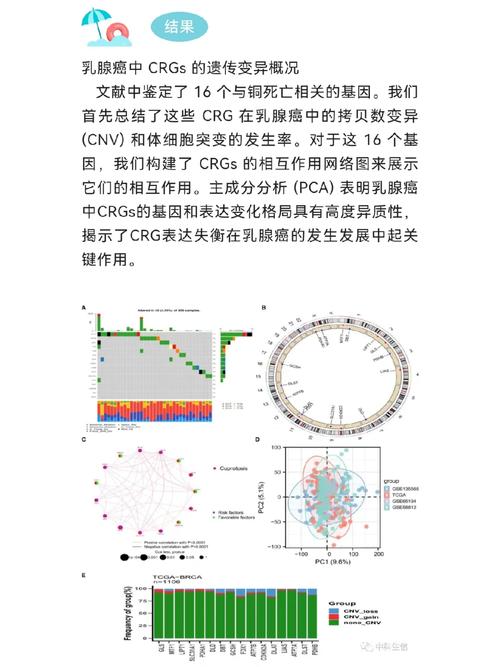 中车研究人员提出新思路功率模块用全铜工艺产品机能周全提升_模块_引线 智能 中车研究人员提出新思路功率模块用全铜工艺产品机能周全提升_模块_引线 中车研究人员提出新思路功率模块用全铜工艺产品机能周全提升_模块_引线 智能