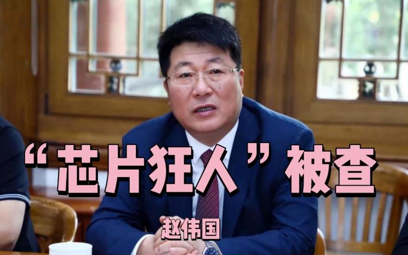 紫光赵伟国:芯片上虽没印国旗但有国籍!_芯片_紫光 智能 紫光赵伟国:芯片上虽没印国旗但有国籍!_芯片_紫光 紫光赵伟国:芯片上虽没印国旗但有国籍!_芯片_紫光 智能