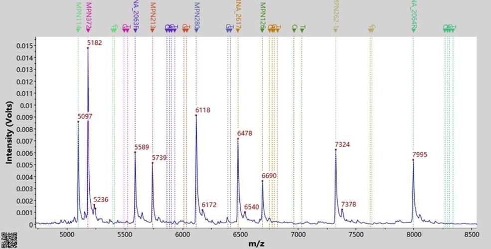 基于探针电泳质谱技能的单细胞代谢产物分析_暗记_代谢物 基于探针电泳质谱技能的单细胞代谢产物分析_暗记_代谢物 互联网