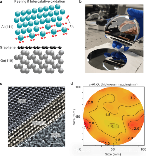 电子学和生物学碰撞科学家研发新型混淆生物晶体管_晶体管_离子 电子学和生物学碰撞科学家研发新型混淆生物晶体管_晶体管_离子 科学