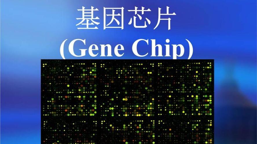 中国首颗“基因芯片”出身！打破美国芯片垄断：国产化意义不屈常_基因芯片_黄牛 中国首颗“基因芯片”出身！打破美国芯片垄断：国产化意义不屈常_基因芯片_黄牛 科学